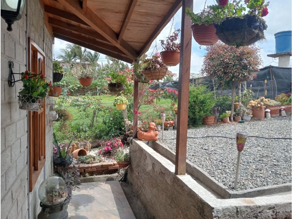 SE VENDE FINCA DE DESCANSO [LA CHINA] SAN PEDRO DE LOS MILAGROS - 2