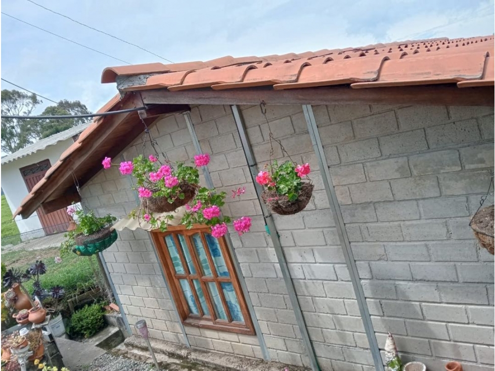 SE VENDE FINCA DE DESCANSO [LA CHINA] SAN PEDRO DE LOS MILAGROS - 5