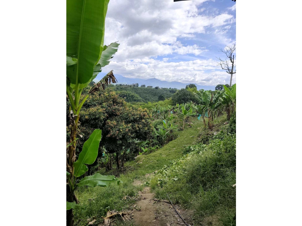 Se vende finca en Armenia Quindío. — foto 4