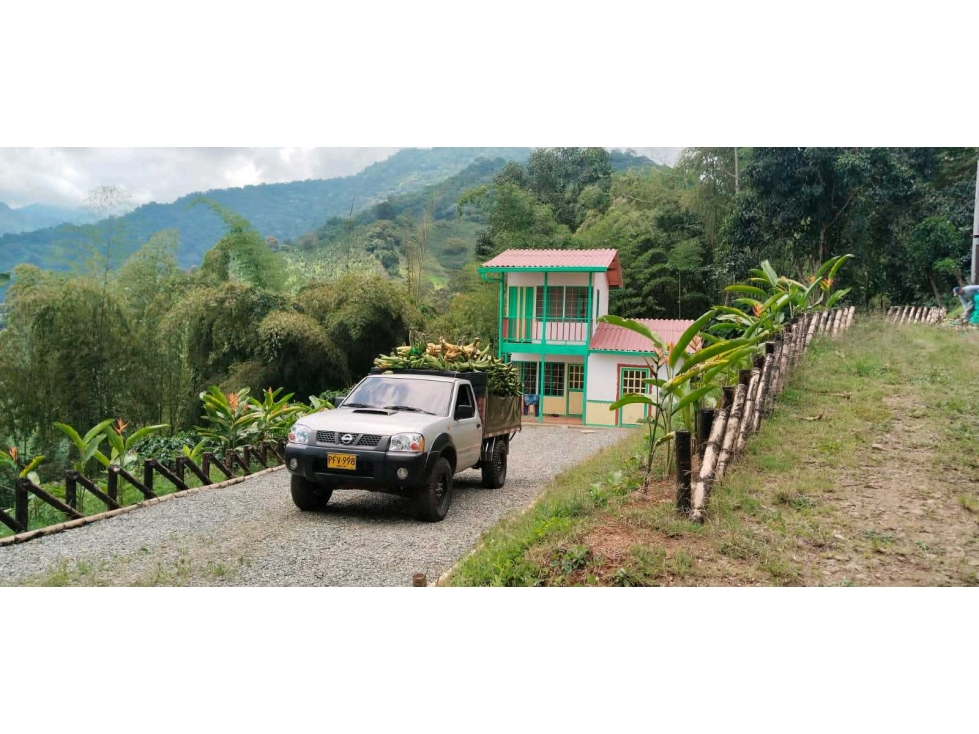 Se vende finca en Buenavista, Quindío - 2