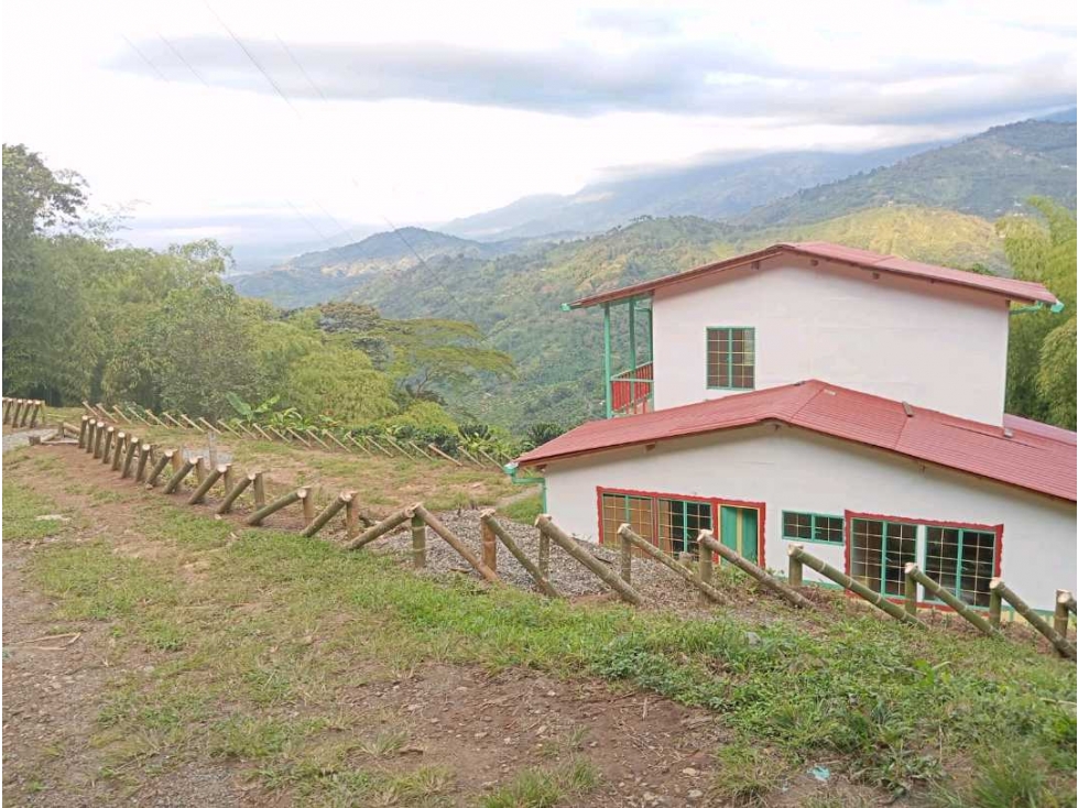 Se vende finca en Buenavista, Quindío - 4