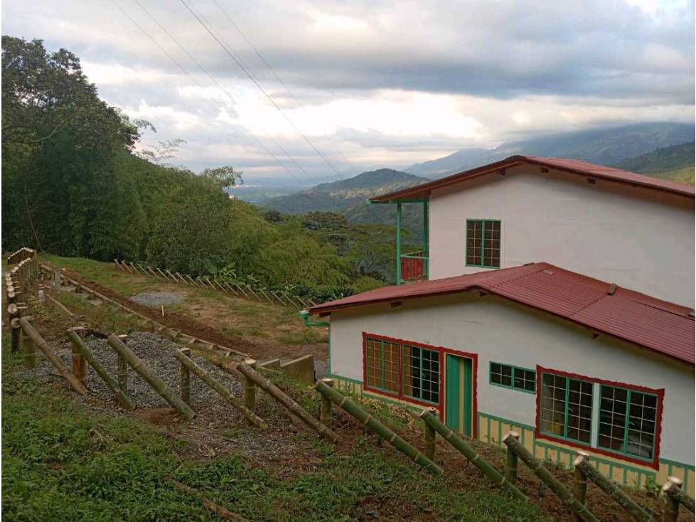 Se vende finca en Buenavista, Quindío - 5
