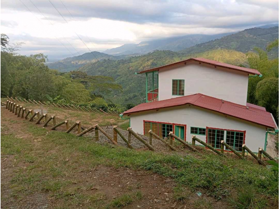 Se vende finca en Buenavista, Quindío - 6