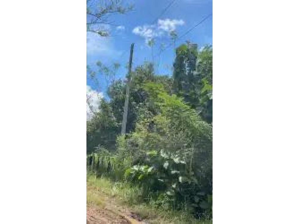 SE VENDE FINCA EN CALOBRE - 2