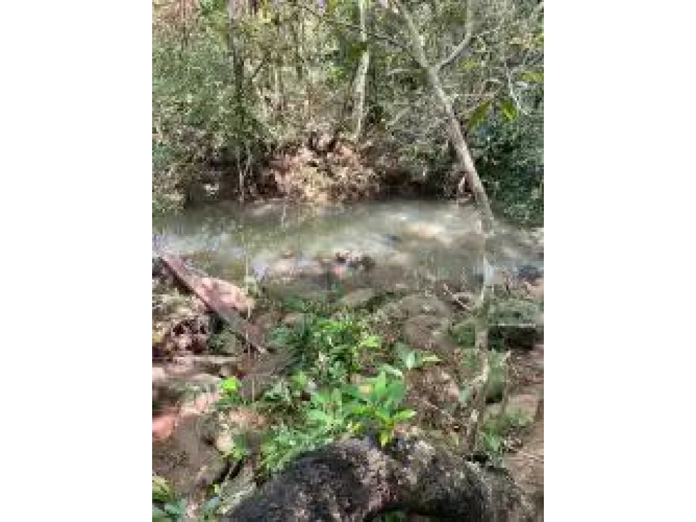 SE VENDE FINCA EN CALOBRE - 3