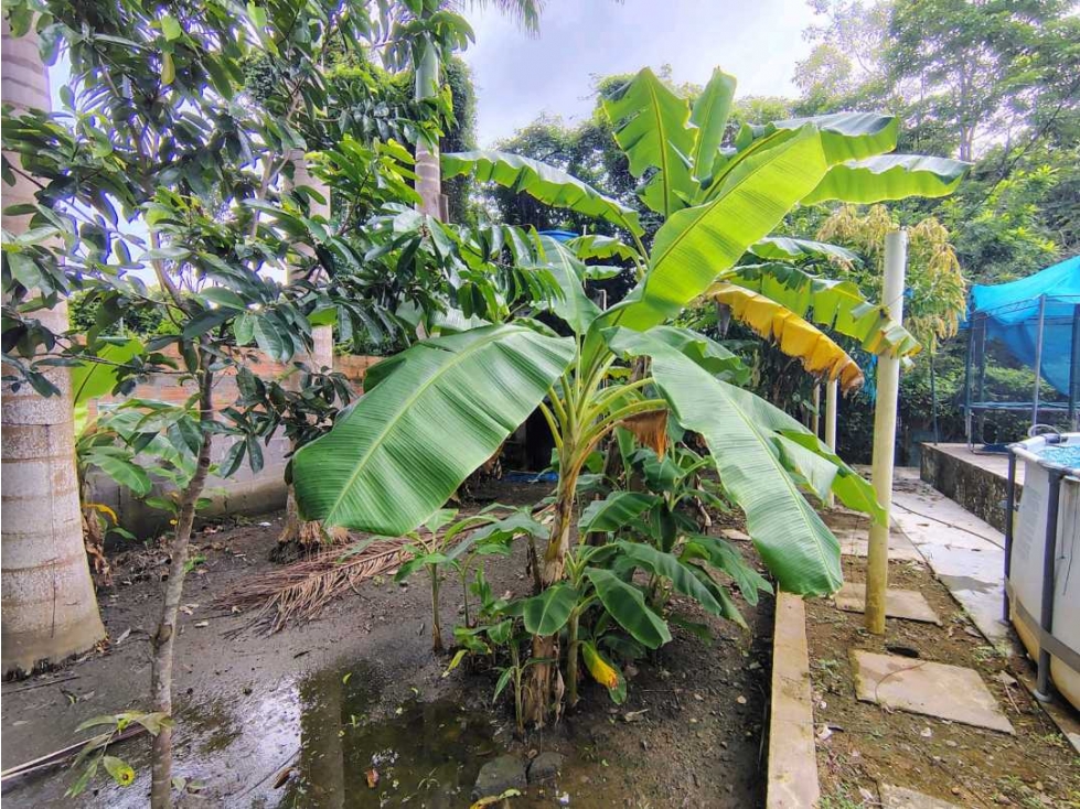 SE VENDE FINCA EN CERETÉ Conjunto Cerrado. - 4