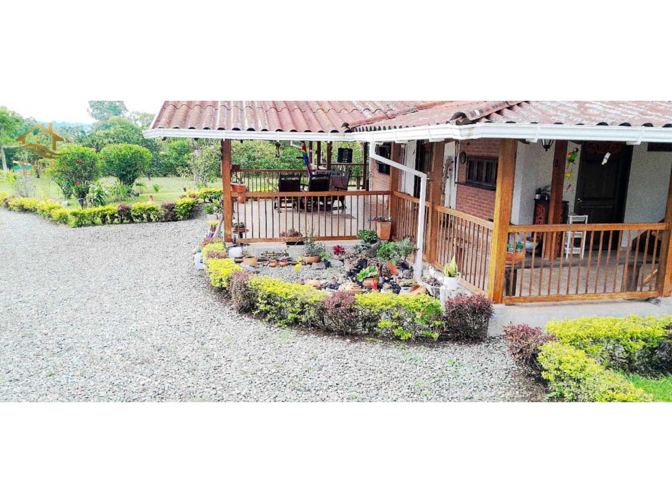 SE VENDE FINCA EN CIRCASIA — foto 4