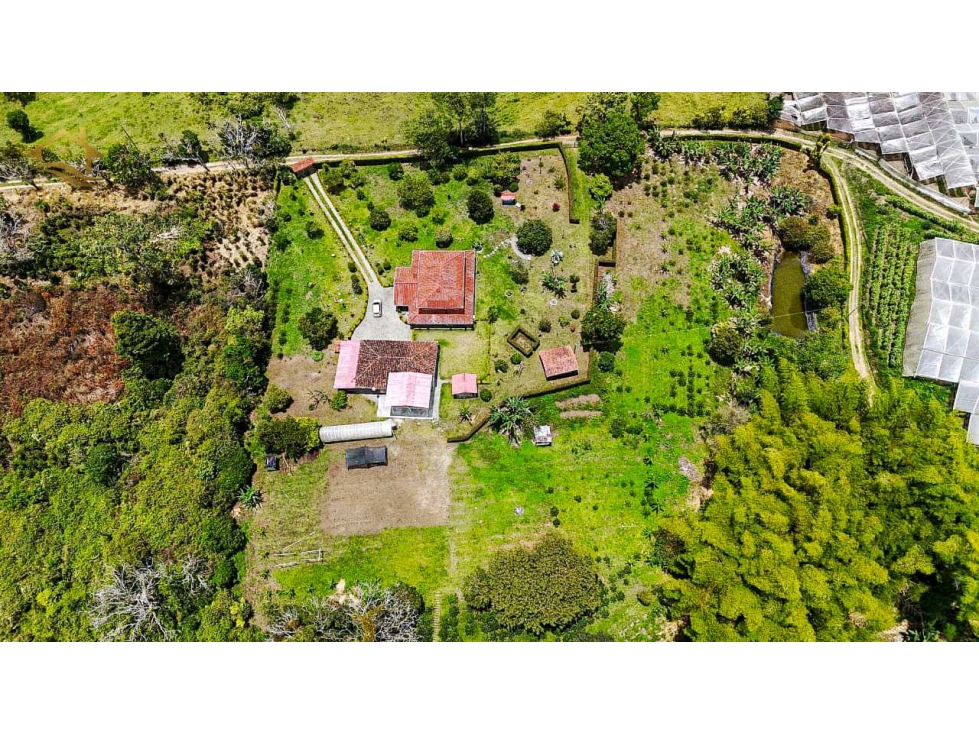 SE VENDE FINCA EN CIRCASIA — foto 5