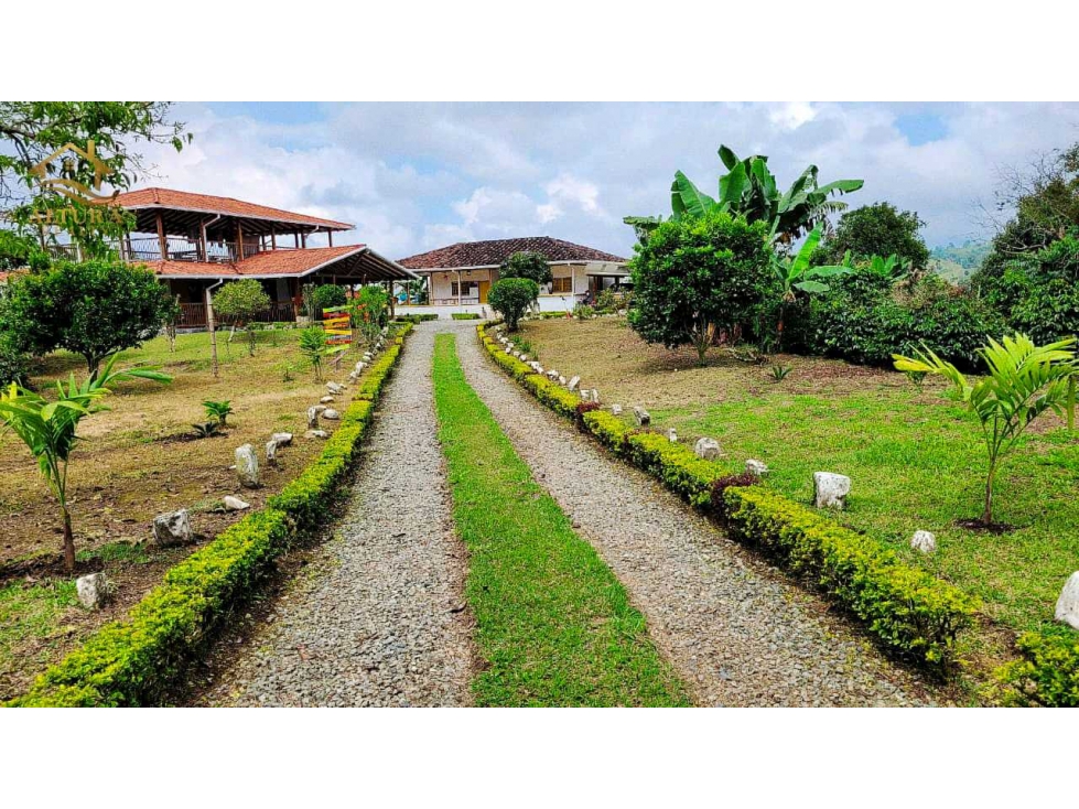 SE VENDE FINCA EN CIRCASIA — foto 6