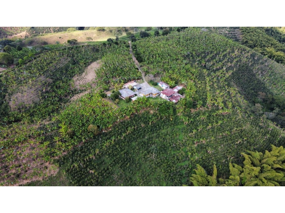 Se vende finca en circasia Quindío. 23 cuadras en cafe y platano. — foto 3