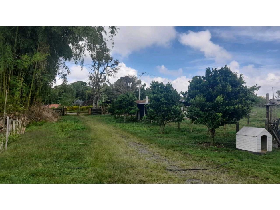 Se vende finca en Circasia, Quindío. — foto 6