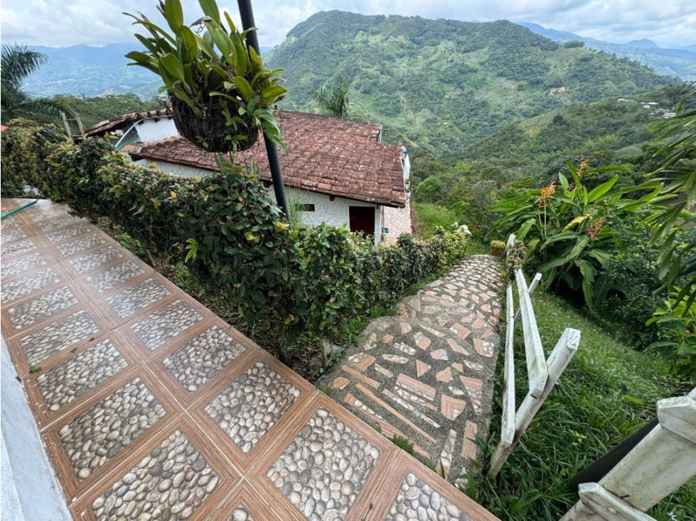 SE VENDE FINCA Y CABAÑA A PUERTA CERRADA EN COCORNÁ - 2