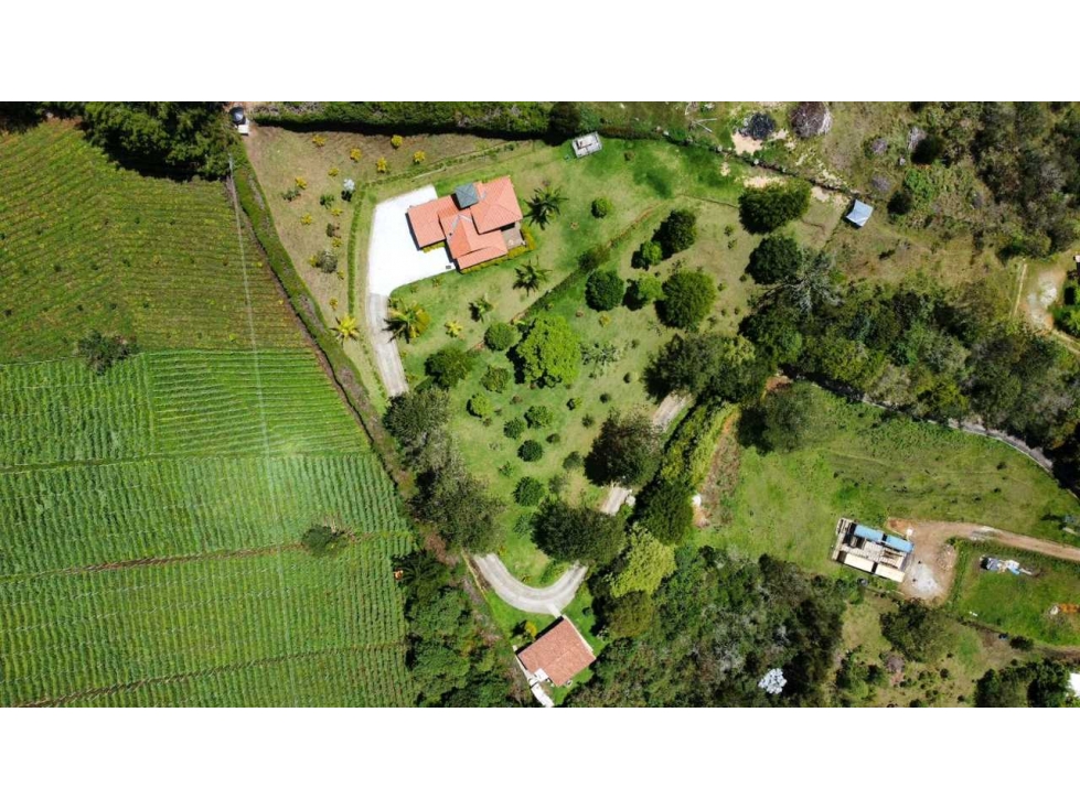 Se vende finca en el carmen de vivoral via la ceja — foto 2