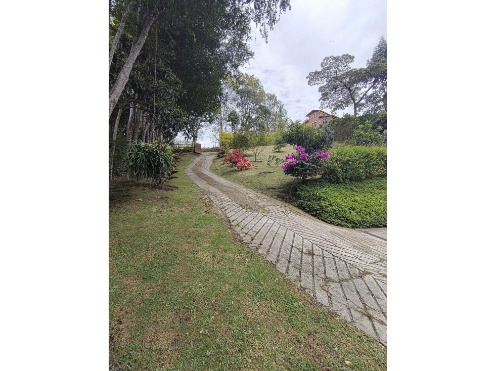 SE VENDE FINCA EN EL CARMEN DE VIBORAL CON DISEÑO UNICO,VIA EL CANADA — foto 3