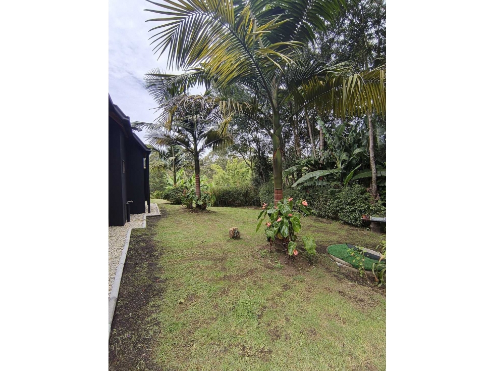 SE VENDE FINCA EN EL CARMEN DE VIBORAL CON DISEÑO UNICO,VIA EL CANADA — foto 4