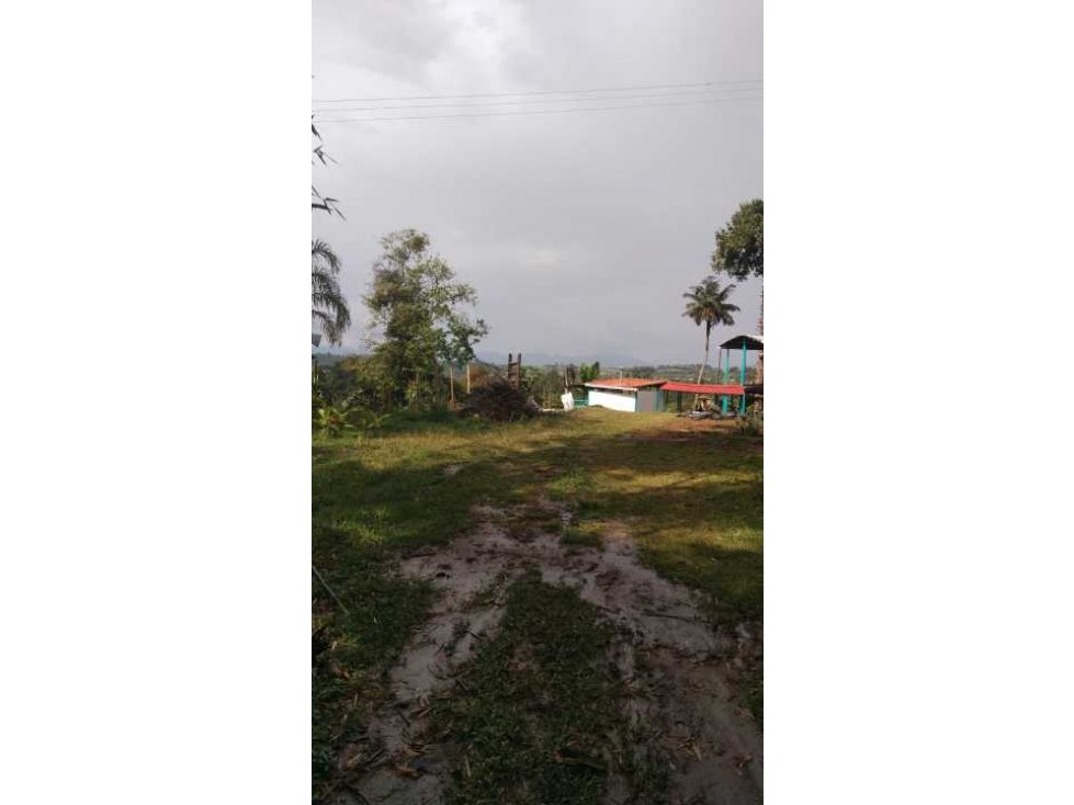 Se vende finca en filandia - 4
