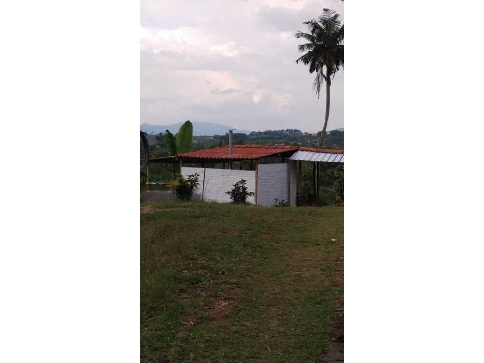 Se vende finca en filandia - 5