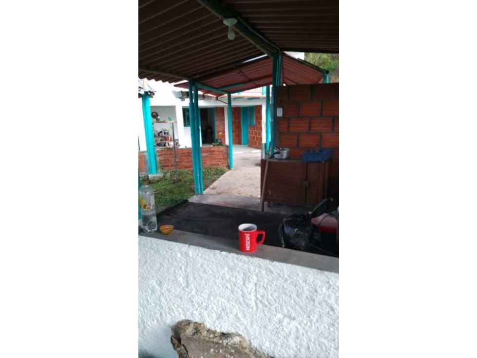 Se vende finca en filandia - 6