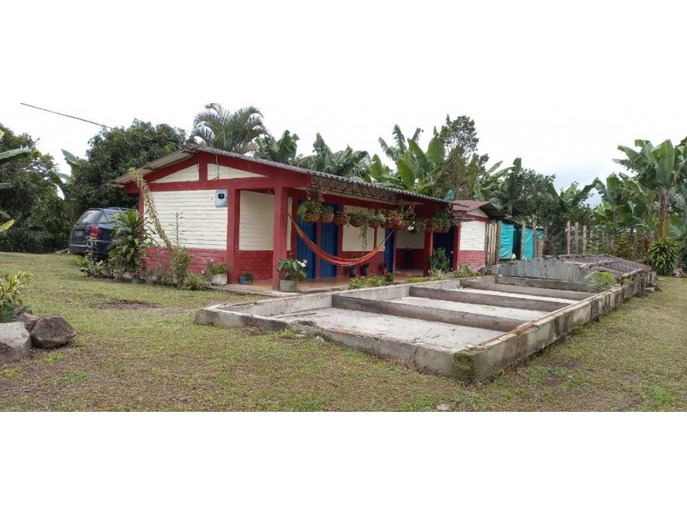 SE VENDE FINCA EN FILANDIA - 1