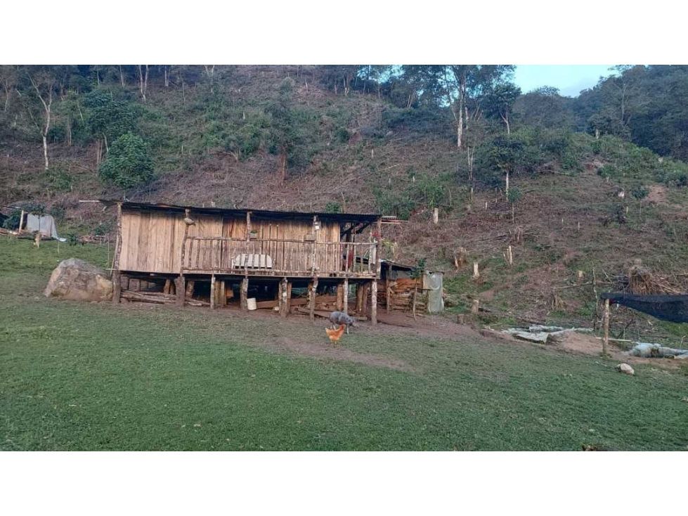SE VENDE FINCA EN GENOVA QUINDIO - 2