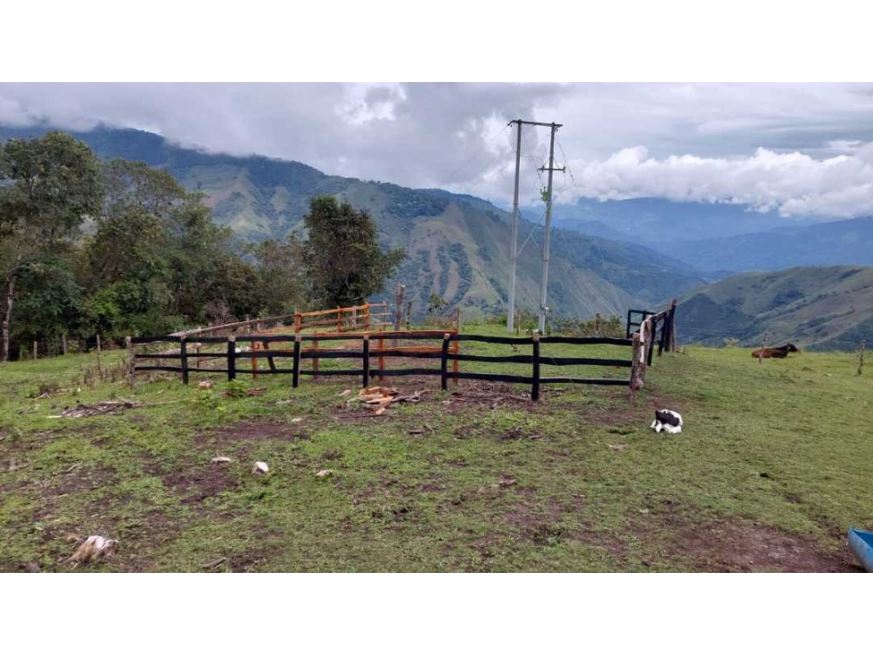 SE VENDE FINCA EN GENOVA QUINDIO - 4
