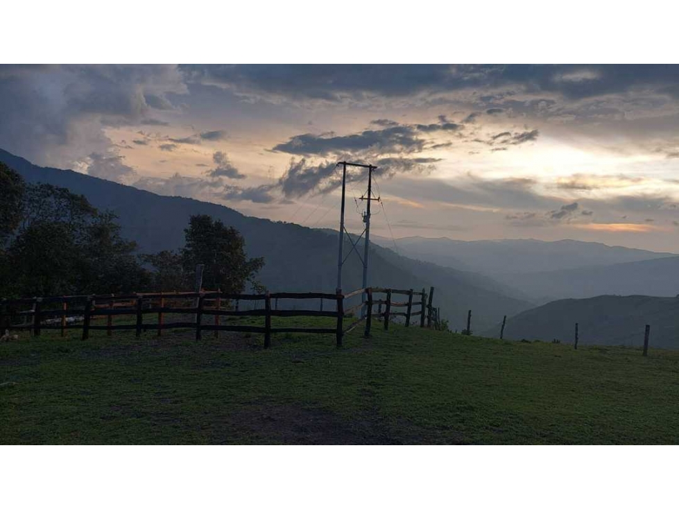 SE VENDE FINCA EN GENOVA QUINDIO - 5