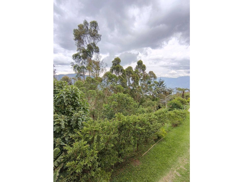 SE VENDE FINCA EN GUARNE SECTOR ALTO DE LA VIRGEN CON DOS CASAS — foto 3