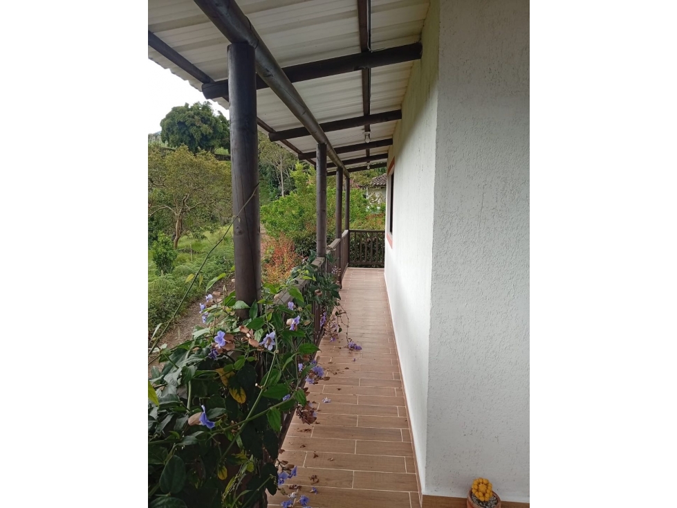 Se vende finca en Guatapé JV - JPG (W10363105) - 2