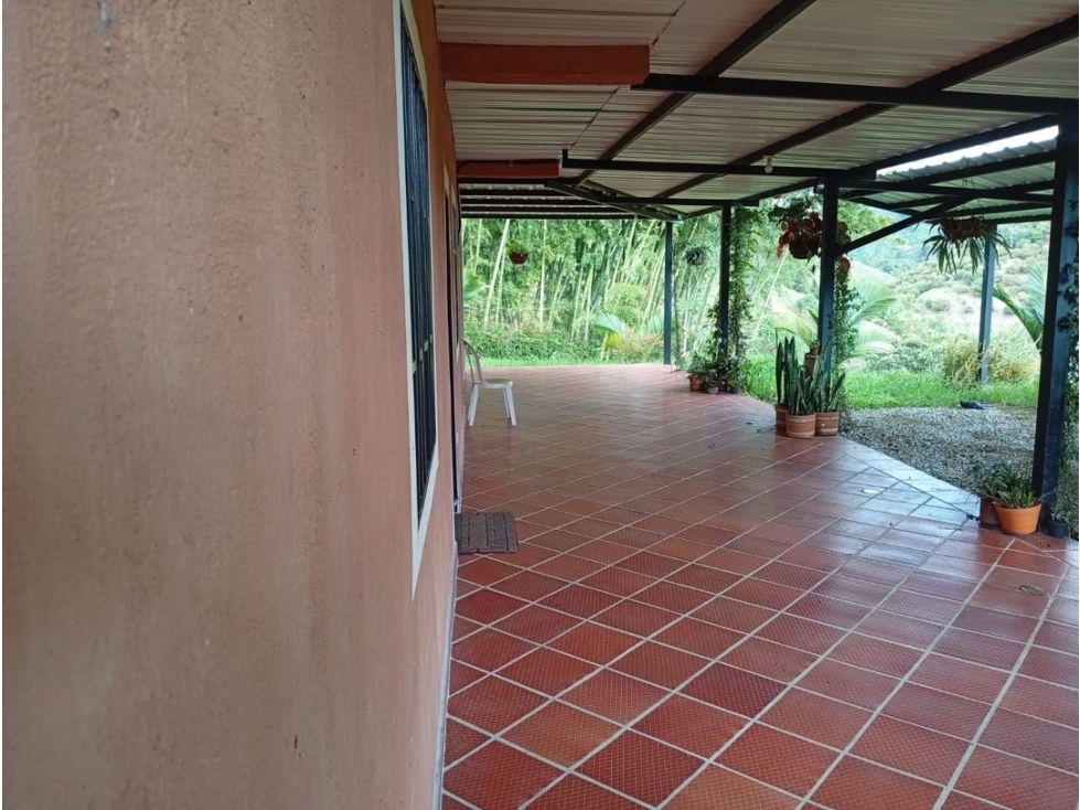Se vende finca en Guatapé JV - JPG (W10363105) - 6