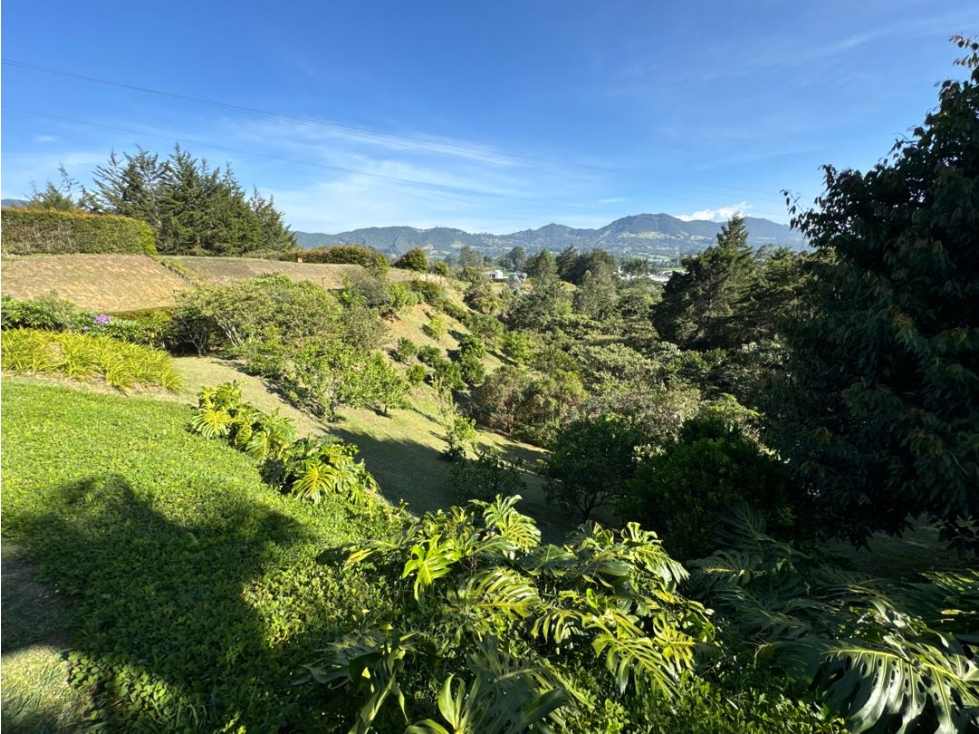 SE VENDE FINCA EN LA CEJA EN PARCELACIÓN LOTE 4534m2 ALTO. ARBORIZACI — foto 6