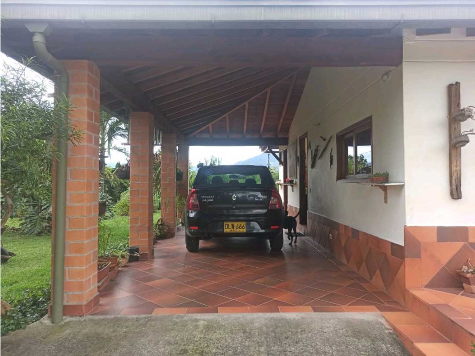Se vende finca en la ceja vereda san Nicolas — foto 4
