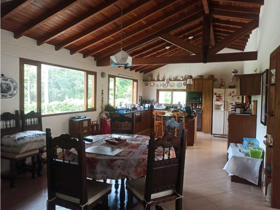 Se vende finca en la ceja vereda san Nicolas — foto 5