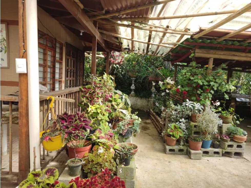 Se vende Finca en la Clara - Caldas Antioquia — foto 2
