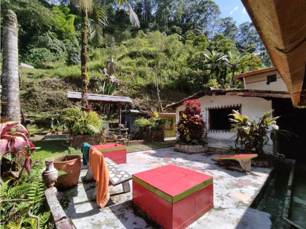 Se vende Finca en la Clara - Caldas Antioquia — foto 3