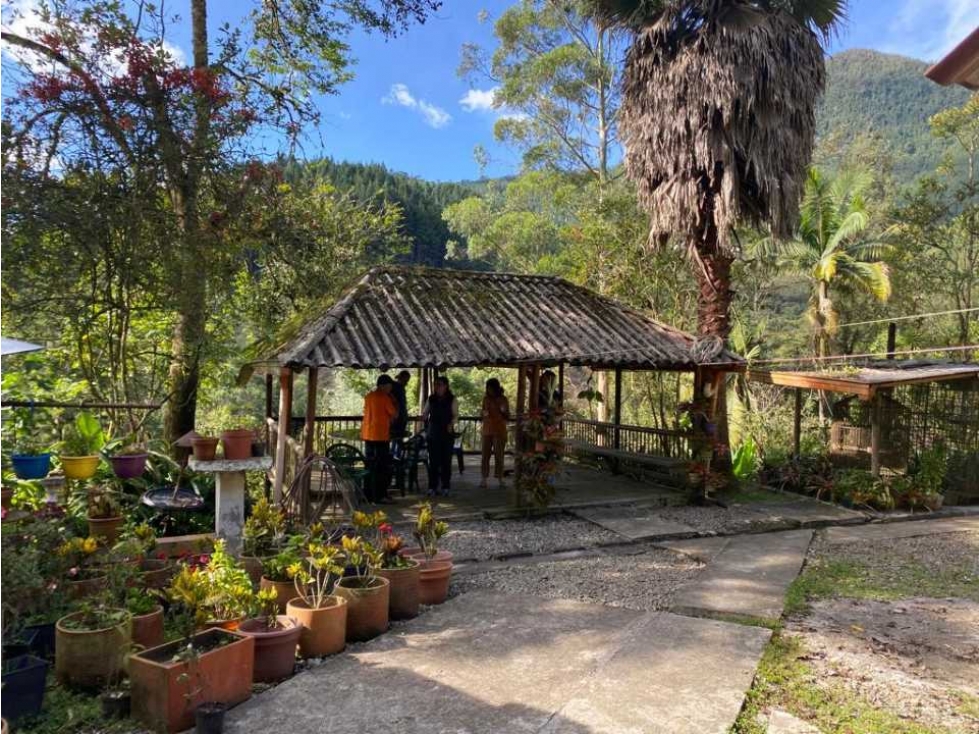 Se vende Finca en la Clara - Caldas Antioquia — foto 5