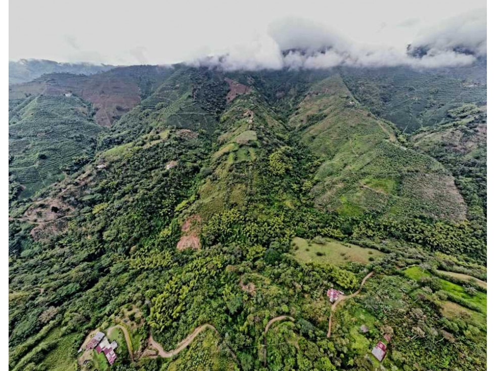 SE VENDE FINCA EN LA VEREDA CEDRAL BAJO - 2