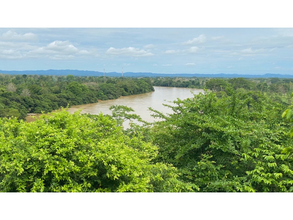 Se vende finca en montería - Córdoba (ideal para proyecto urbanístico)
