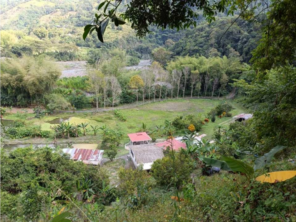Se vende finca en Pacho! Lagos de pesca , Potreros ,frutales - 1