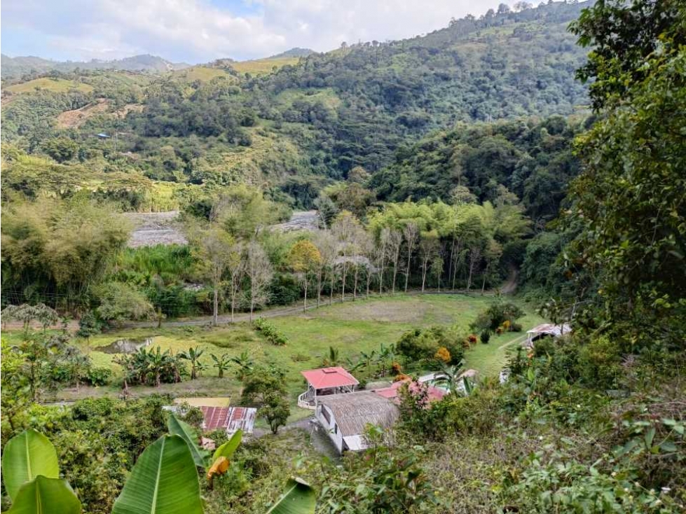 Se vende finca en Pacho! Lagos de pesca , Potreros ,frutales - 2