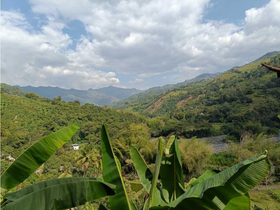 Se vende finca en Pacho! Lagos de pesca , Potreros ,frutales - 3