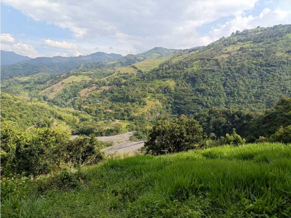 Se vende finca en Pacho! Lagos de pesca , Potreros ,frutales - 5