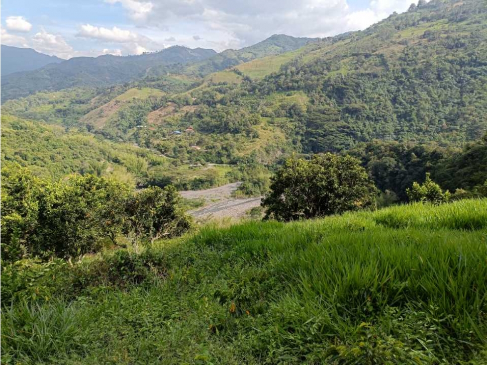Se vende finca en Pacho! Lagos de pesca , Potreros ,frutales - 6
