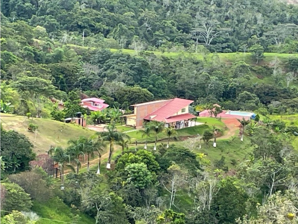 Se vende Finca en Pavas - 4