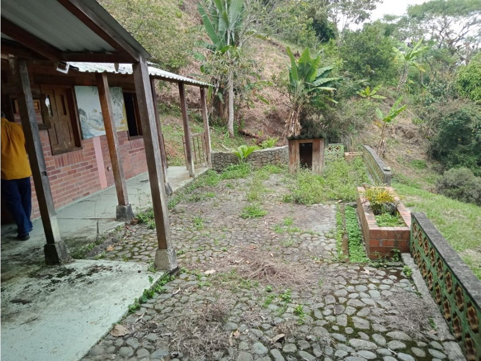 SE VENDE FINCA EN CORREGIMIENTO LOS ANDES EN CALI 486.