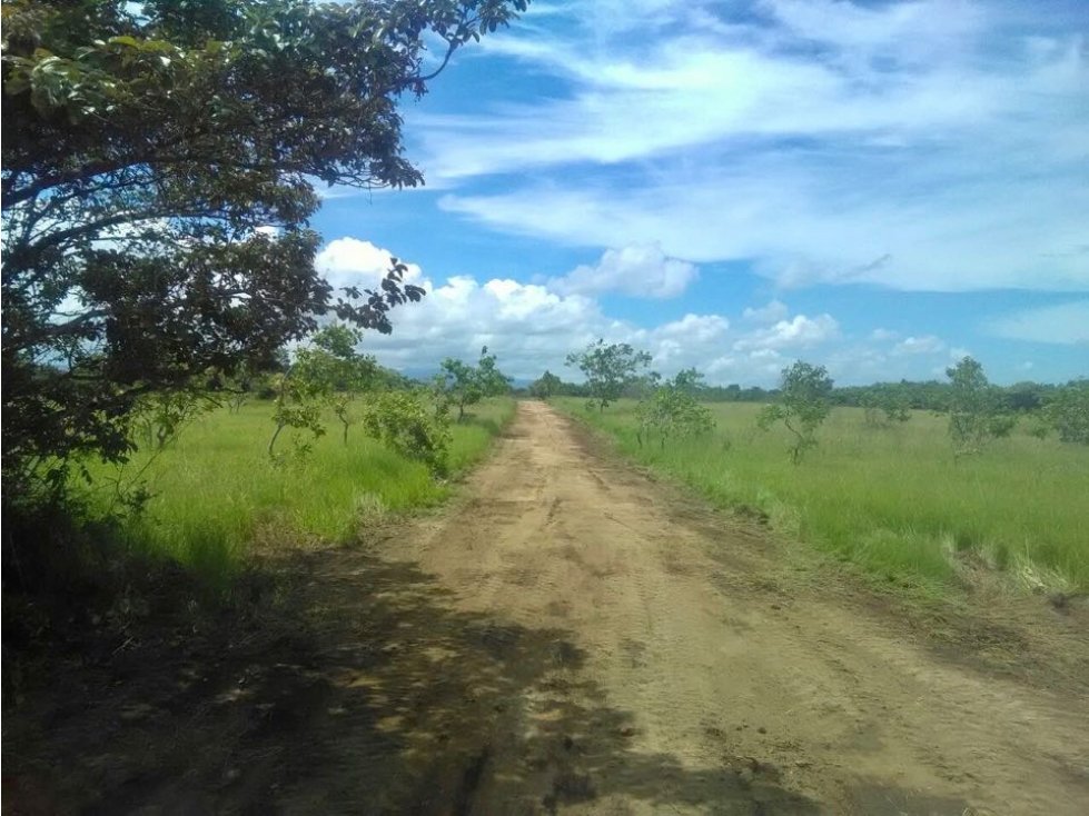 SE VENDE FINCA EN RIO HATO PUNTA CHAME - 4442DA - 2