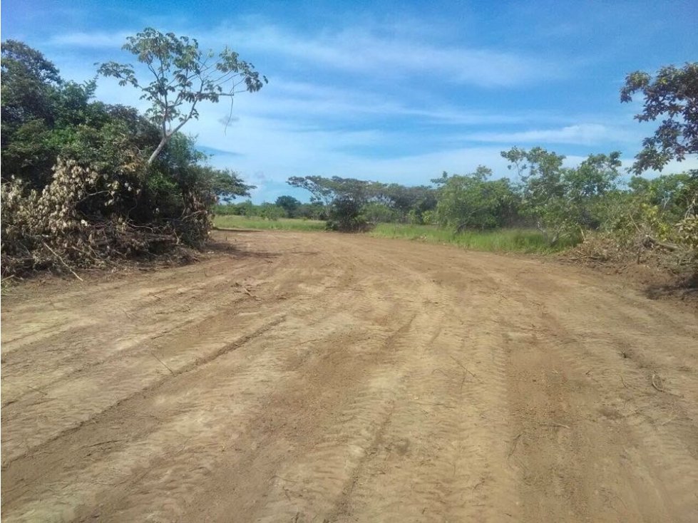 SE VENDE FINCA EN RIO HATO PUNTA CHAME - 4442DA - 3