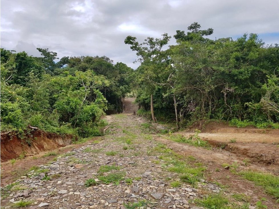 SE VENDE FINCA EN RIO HATO PUNTA CHAME - 4442DA - 4