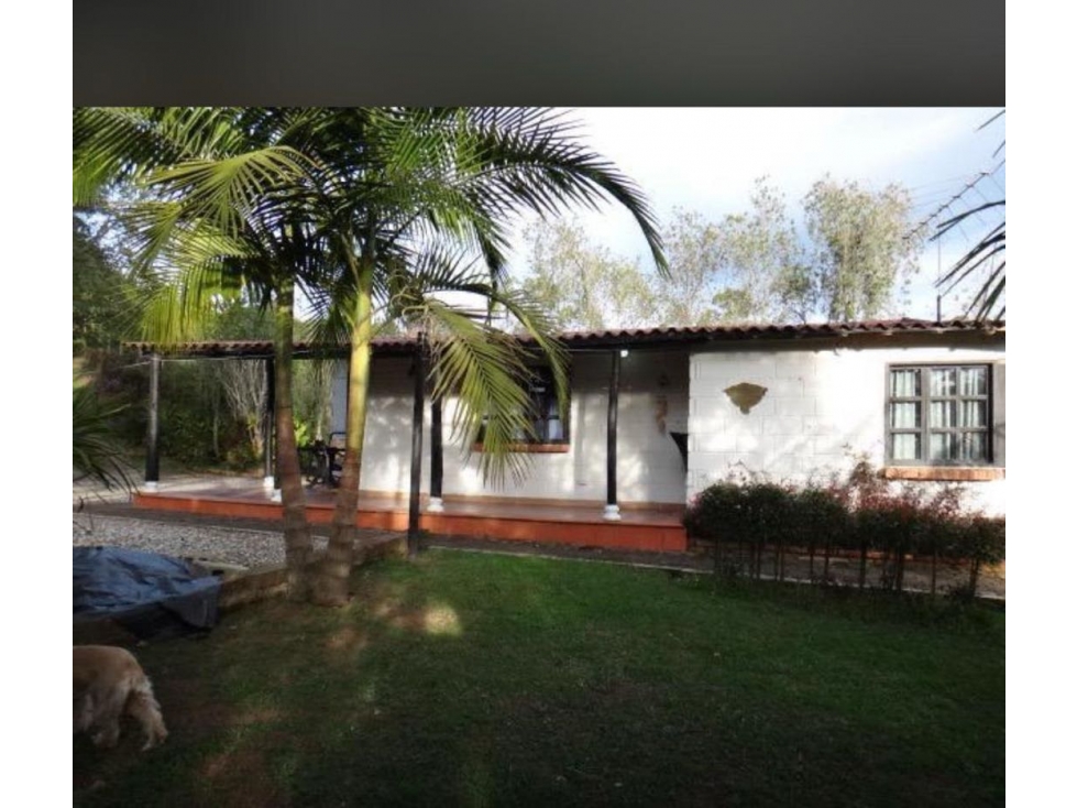 SE VENDE FINCA EN RIONEGRO VDA LAS CUCHILLAS ÁREA LOTE 7397 m2 negocia — foto 2