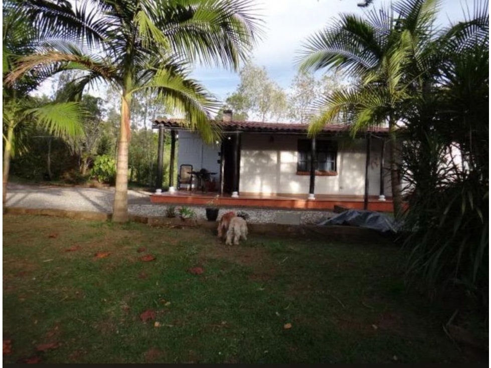 SE VENDE FINCA EN RIONEGRO VDA LAS CUCHILLAS ÁREA LOTE 7397 m2 negocia — foto 3