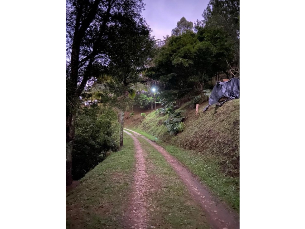 SE VENDE FINCA EN RIONEGRO VDA LAS CUCHILLAS ÁREA LOTE 7397 m2 negocia — foto 6